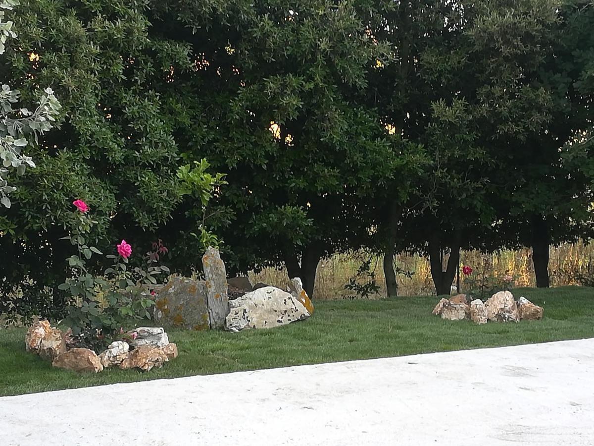 B&B Il Turchese Palmadula Εξωτερικό φωτογραφία